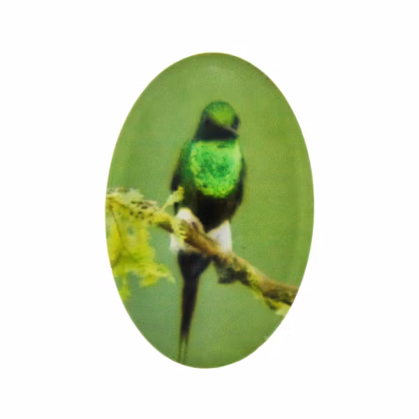 Fågel 6 Cabochon 30x20mm 1st