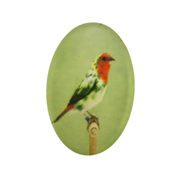 Fågel 7 Cabochon 30x20mm 1st