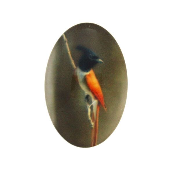 Fågel 8 Cabochon 30x20mm 1st