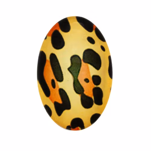 Djurmönster 15 Cabochon 30x20mm 1st