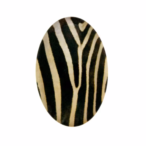 Djurmönster 25 Cabochon 30x20mm 1st