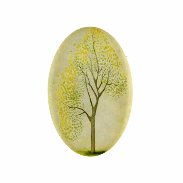 Träd 31 Cabochon 30x20mm 1st