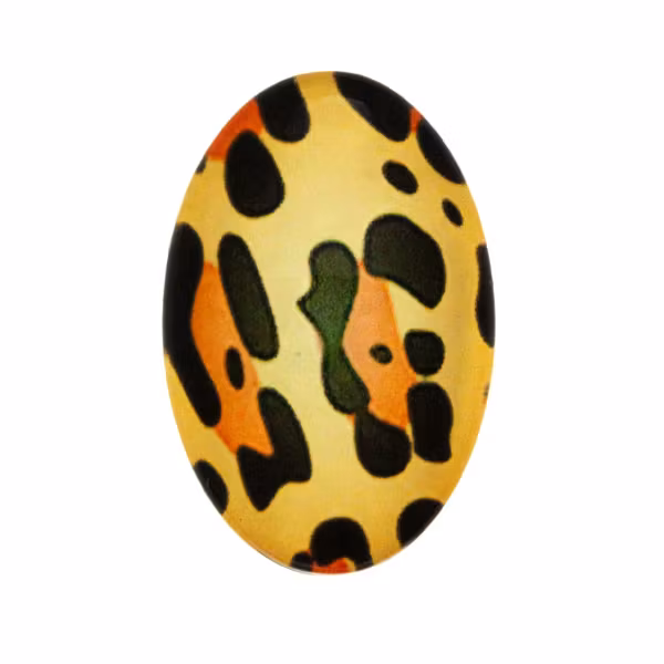 Djurmönster 15 Cabochon 25x18mm 1st