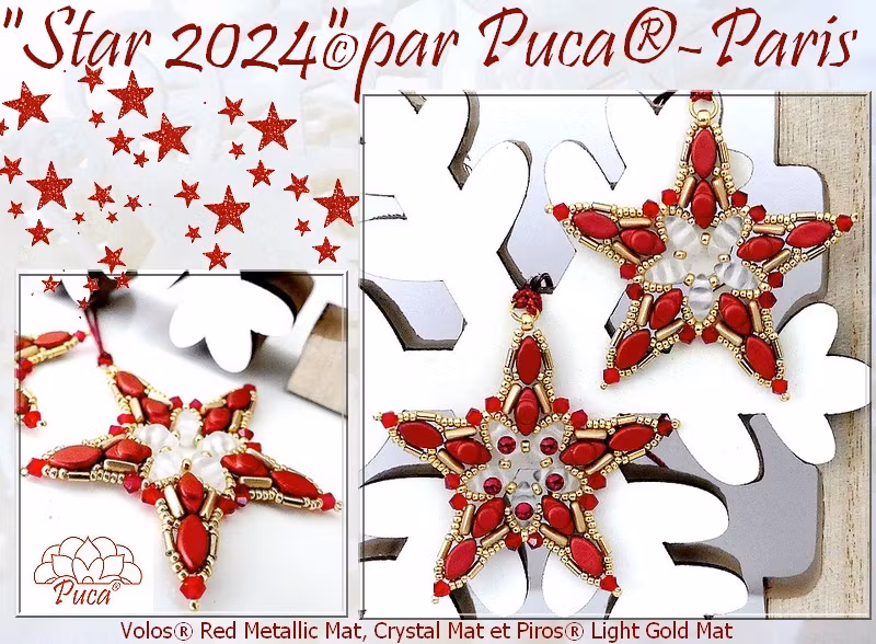 Star 2024 Julgransdekoration Hänge PDF
