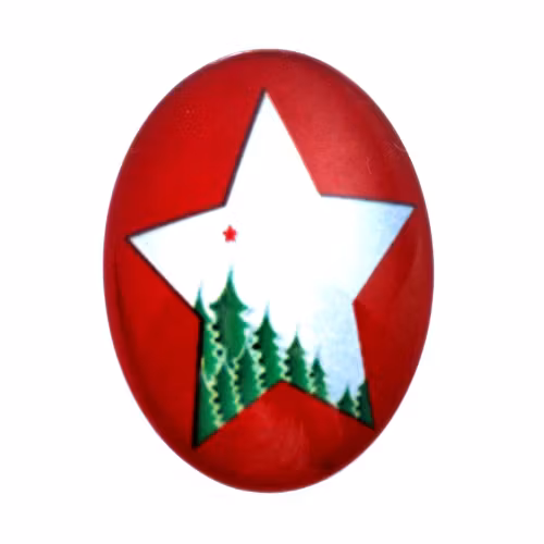 Julmotiv 66 Cabochon 18x13mm 1st