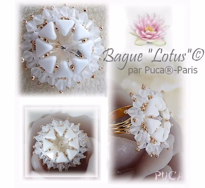 Lotus Ring PDF