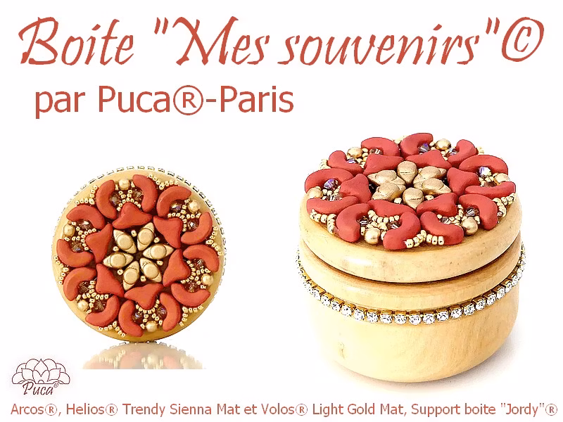 Mes Souvenirs Träask PDF