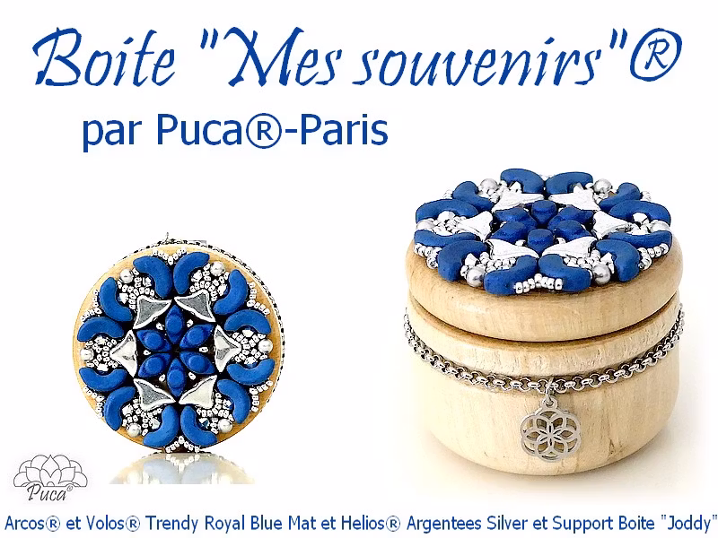 Mes Souvenirs Träask PDF