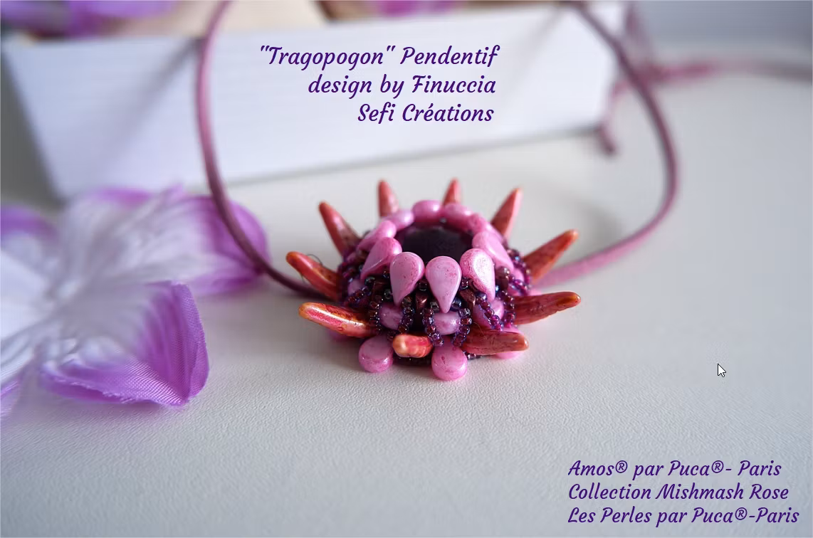 Tragopogon Hänge PDF