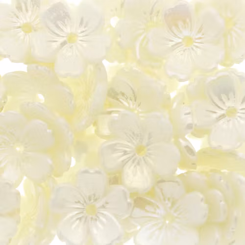 White AB Blomma Akrylpärla 5-bladig 12mm 10st