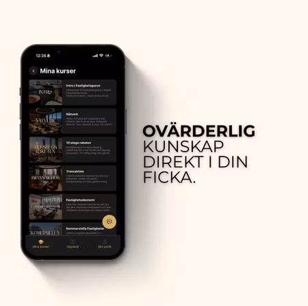 BOOTCAMP | XI | PRO 2026