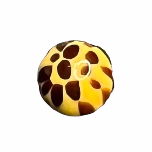Mönstrade kulor gul/brun i olika storlekar 1,6 mm