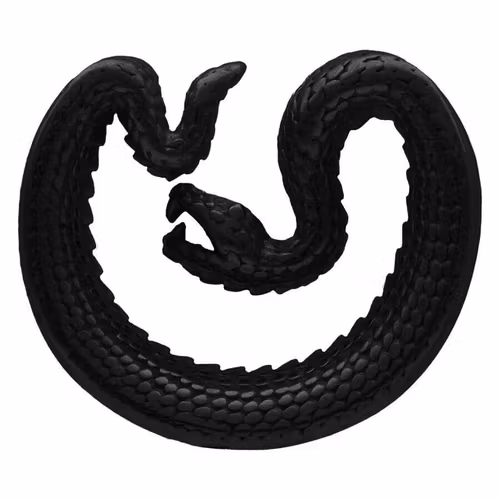 Svart snake töjning 10 mm