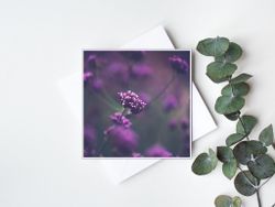 Blomsteräng