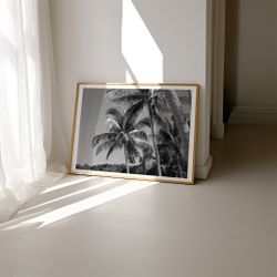Palm trees