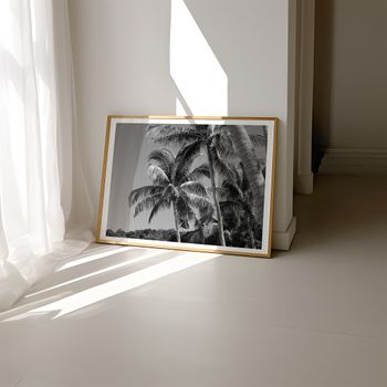 Palm trees