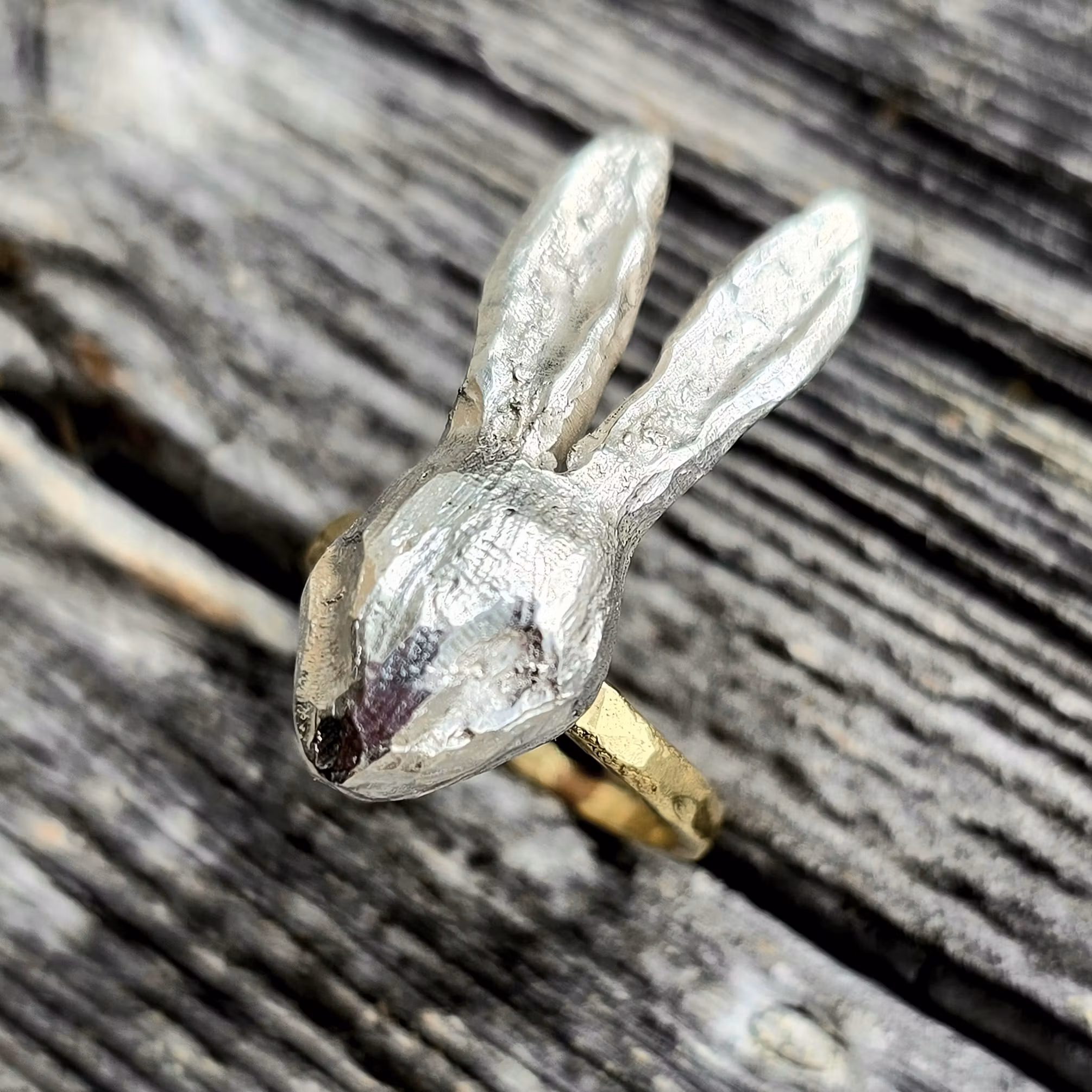 Hare