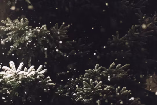 Juletre
