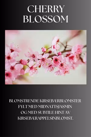 Cherry Blossom
