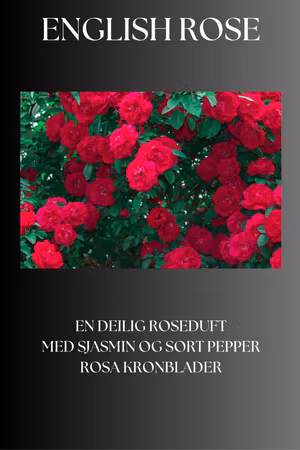 English Rose