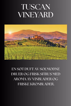 Tuscan Wineyard