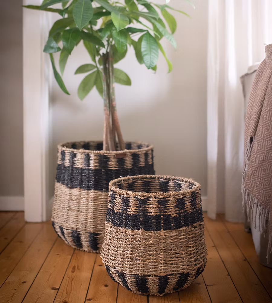 Prisa Mönstrad Korg M