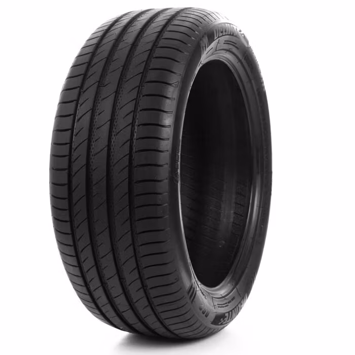 DELINTE 195/55R16 91V DS2