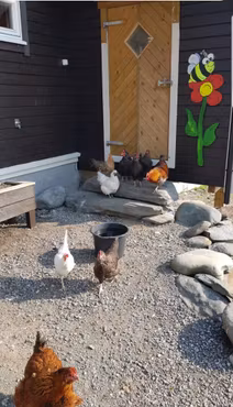 Sytreff på Hjartland  31/10-2/11