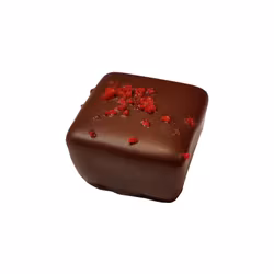 Pralin- Mörk Hallonruta 11,3g (x 40st)
