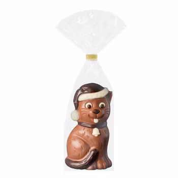 Chokladfigur - Winter Cat 75g (x 10st)
