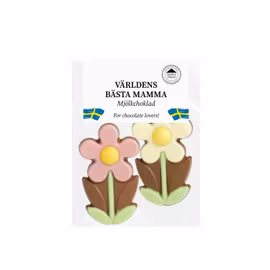 Mjölkchoklad - Världens bästa mamma! 25g (x 16st)