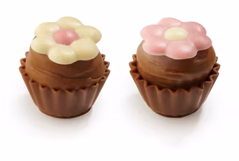 Flower Pots Cupcake Chokladkrämkrisp ca. 21.5g/st  (x 85st)