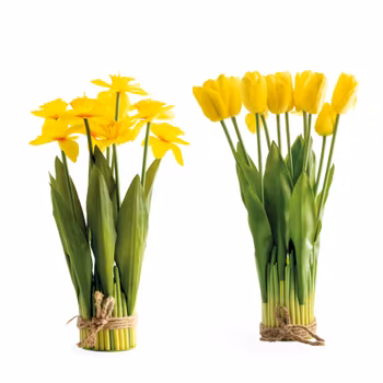 Tulpan & Lilja Display (x 2st par)