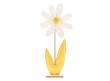 Sol Blomma Display (x 2st)