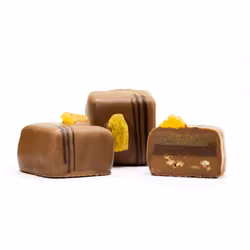 Pralin - Rom,Russin & Nötter Vegan 11.5g/st (x 40st)