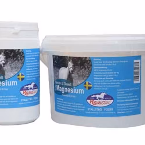 RS Mustang Magnesium