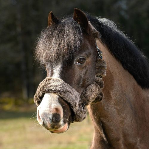 Globus Grimma Fluffig