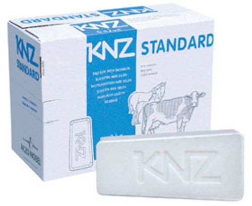 KNZ Saltstenar