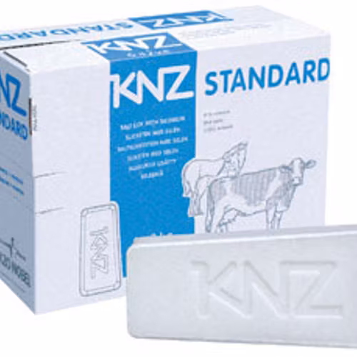KNZ Saltstenar