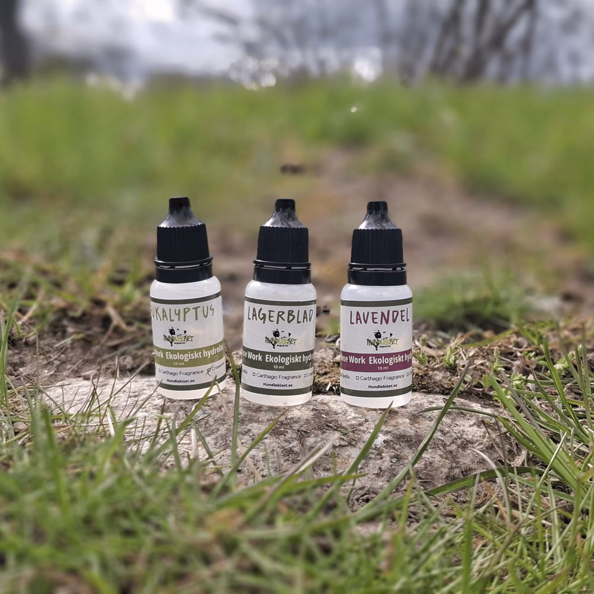 Butik Hundlekiset > Nose Work