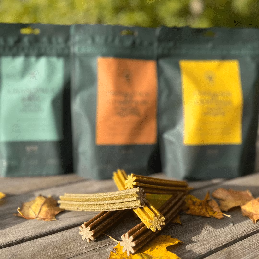 Butik Hundlekiset > Nyheter!