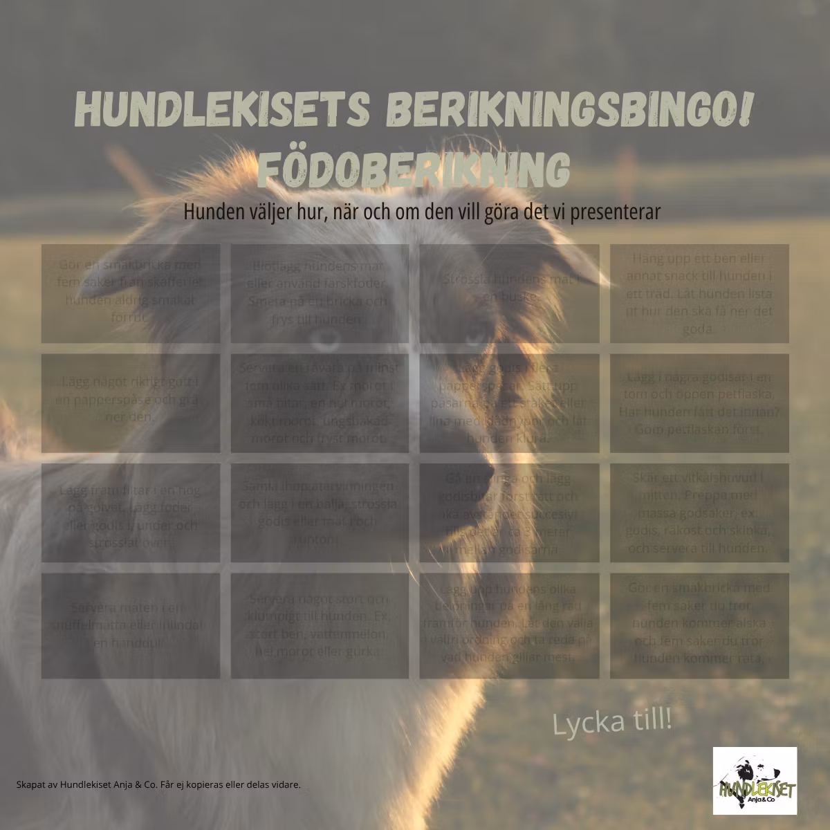 Berikningsbingo - Födoberikning