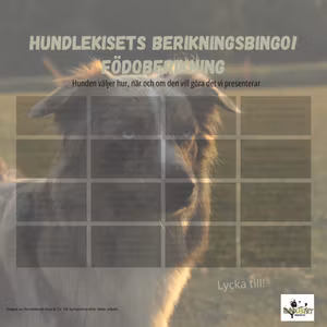 Berikningsbingo - Födoberikning