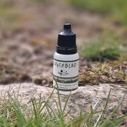 Lagerbladshydrolat - Nose Work, 10 ml