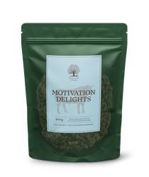 Essential Motivation Delights