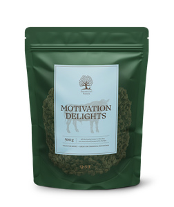 Essential Motivation Delights