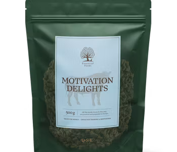 Essential Motivation Delights