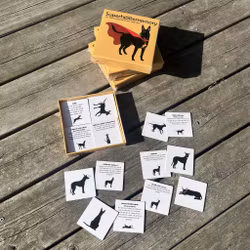 Superhjältememory - Lär dig hundspråk på ett roligt sett