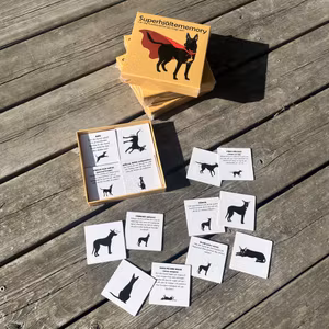 Superhjältememory - Lär dig hundspråk på ett roligt sätt