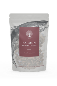 Essential Salmon Mini Delights